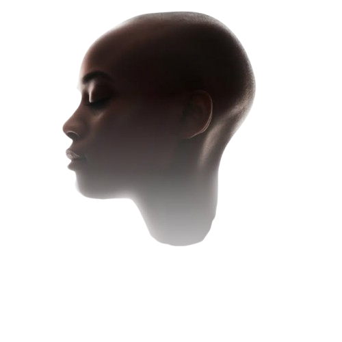 Face illustration